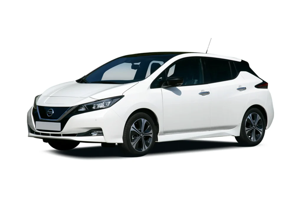 Nissan-leaf-copy.jpg (1)